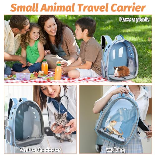 kathson Bearded Dragon Carrier with Harness and Leash Set, Large Reptile Travel Carrier Portable Lizard Backpack Clear Small Animals Carrying Bag for Gecko Hamster Rabbit Hedgehog Kitten (Blue) - color: Blue