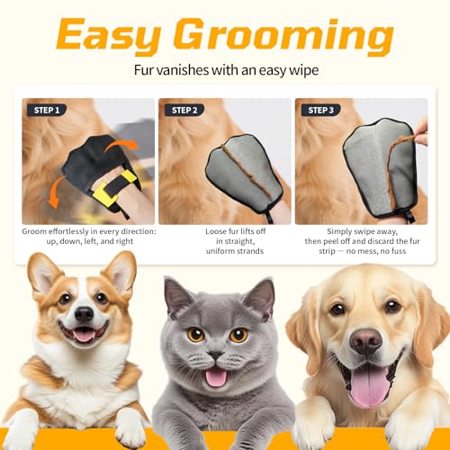 Pet Hair Remover 3-Pack,Dog Cat Fur Removal Tool,Portable Carpet Scraper | Portable Fabric Shaver & Lint Remover, Pet Hair & Fur Removal Tool, Works on Carpet Clothes Car Mats Couch Furniture - color: Blue With Black