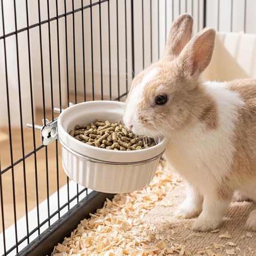Ceramic Hanging Pet Bowl Bird Cage Feeder | Adjustable Height, No-Tool Installation, Heavy Duty Food & Water Bowl for Rabbits, Guinea Pigs, Kittens, Small Pets