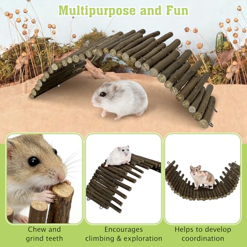 Tfwadmx Hamster Ladder Bridge & Small Animal Natural Ear of Grain Spray Hamster Bedding Habitat Decor Flexible Bendy Hamster Climbing Toy for Dwarf Syrian Mice Gerbils - size: 9.8 x 3.9 inches