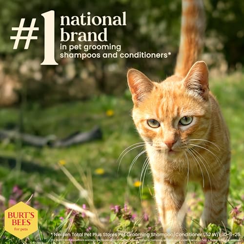 Burts Bees for Pets Waterless Cat Shampoo Spray, 10 Fl Oz | No-rinse formula with shea butter and honey gently cleans between baths, pH-balanced, no harsh detergents