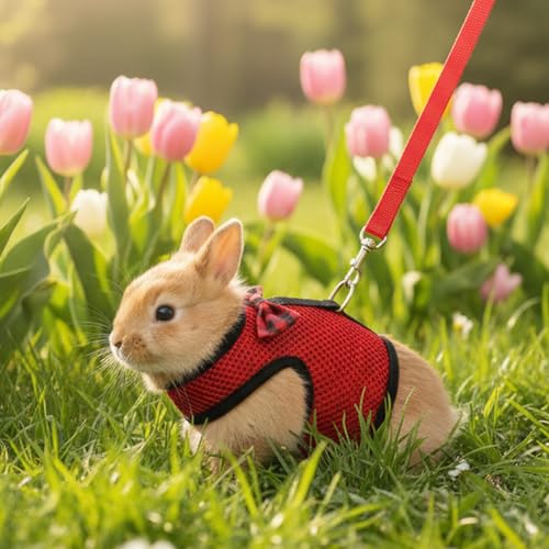 Rabbit Bunny Kitten Harness No Pull Cat Leash Stylish Vest Harness for Small Animal Adjustable Soft Breathable Walking Harness Set (RED, L) - color: Red, size: L