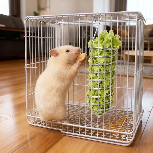 2Pcs Rat Enrichment Toys Bird Food Holder Rat Parrot Foraging Toy | Stainless Steel, Hanging Rodent Toy, Fruit Vegetable Holder, Puzzle Toys, Slow Feeder, Parakeet Foraging