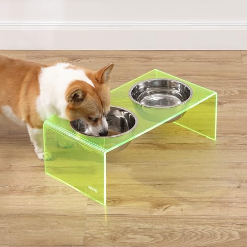 DBL2001G Keaton 7.5" Medium/Large Modern Acrylic Rectangular Elevated Pet Feeder with 54oz 2-Stainless Steel Bowls, Green/Chrome - color: Green/Chrome, size: 54 Ounces (7.5" Cups 2-Pack)