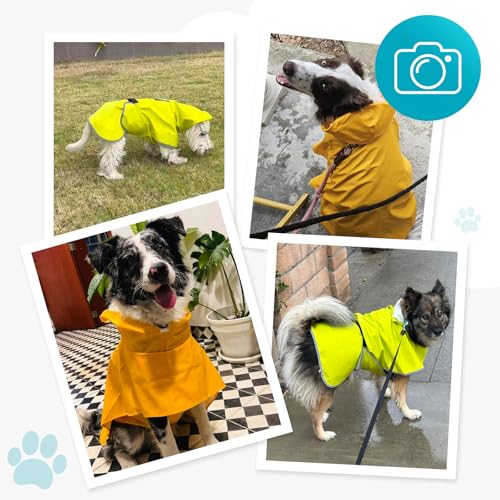 Dog Raincoat,Dog Rain Jacket Poncho with Hood and Leash Hole(Blue,4XL) | Windproof,Waterproof,Leash Loop,Adjustable - color: Neon Blue, size: 4XL(50-55lbs)