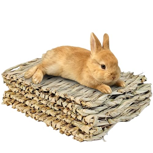 kathson 5 PCS Bunny Grass Mat,Rabbit Natural Straw Woven Bed,Small Animal Hay Nest Sleeping Mat &Chew Toys for Hamster Bunny Chinchilla Guinea Pig Mouse Bird and Other Small Animal - size: 5 pcs