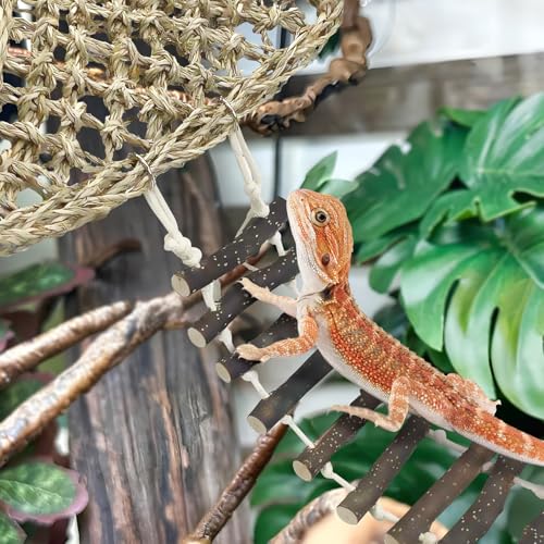 BNOSDM Reptile Hammock Reptile Wooden Ladder Bridge Bearded Dragon Hammock with Suction Cup Lizard Tank Accessories for Chameleon Hermit Crabs Ball Python Gecko Snake