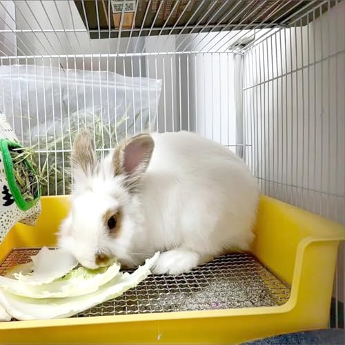 Litter Box Rabbit, Bunny Potty Pan, 1cm Steel Grate with Tray | 39 x 29 x 12 cm box with 1 cm steel mesh keeps paws above waste; removable tray lifts out for quick daily cleaning - color: Orange