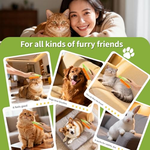 Cat Steam Brush for Shedding, 4 in 1 Rechargeable Steam Brush for Cats and Dogs, Anti-Static, Massage, Cleaning, Shedding & Combing All in One! (Green) - color: Green