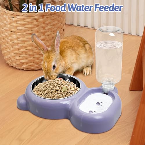 Tfwadmx Double Rabbit Bowls Cat Automatic Feeder with Gravity Water Bottle No Spill Detachable Dog Stainless Steel Bowl Set for Bunny Puppy Kitty Kitten Ferret Squirrel - color: Purple