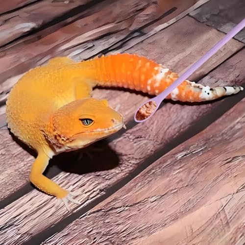 9pcs Crested Gecko Tank Accessories:Food Dish& Feeding Cups - Gecko Feeder &Corner Water Bowl for Reptile Tanks