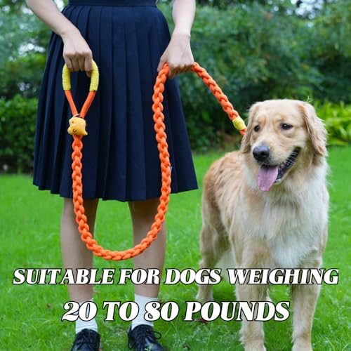 4FT Heavy Duty Braided Rope Dog Leash, Soft Cotton Design with Locking Clip for Medium & Large Dogs – Ideal for Walking & Training (Dinosaurs) - color: Dinosaurs