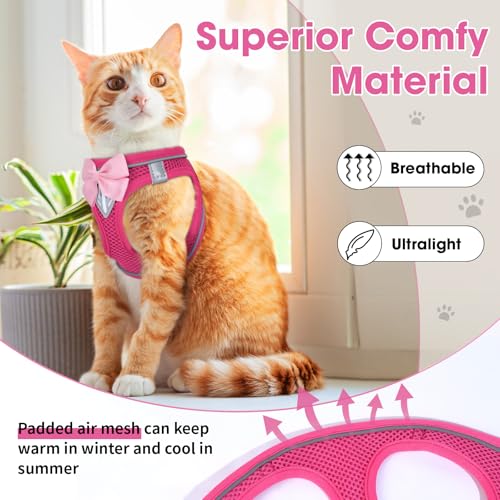 Cat Vest Harness and Leash Set, Escape Proof Kitten Harness Pink XS | Safe Reflective Strips, Adjustable Easy Wear Kitty Harness, Sturdy Clip Buckle, Breathable Mesh , for Kitty Puppy Bunny Walks - color: Pink, size: XS