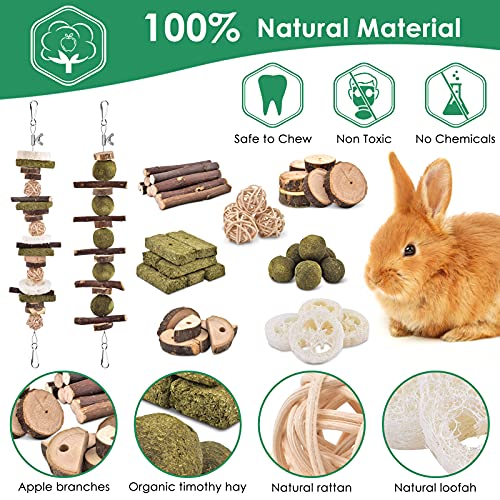 KATUMO Rabbit Chew Toys, Bunny Toys Apple Wood Grass Timothy Treat | DIY Hamster Chew Kit Bunny Teeth Care Molar Toys, Ideal for Rabbit, Guinea Pig, Chinchilla, Hamster, Squirrel, Gerbils - style: 74 PCS