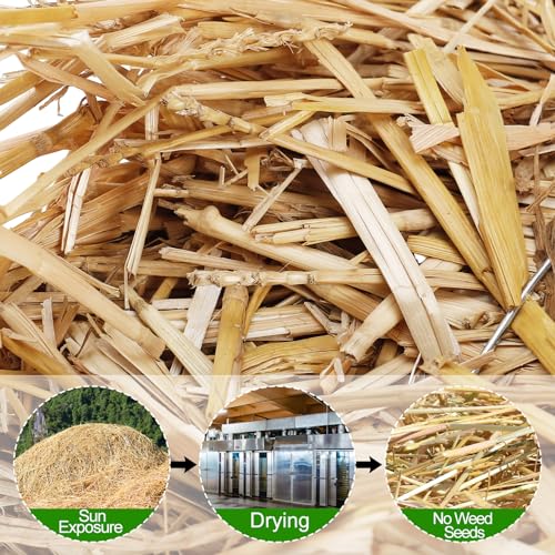 Acostop Natural Dry Wheat Straw for Garden Mulch Stray Cats Dogs Shelter | 1 LB Clean Soft Warm Chicken Coop Yard Farm Pets Bedding, Decorative Straw Bale, Landscaping Weed Cover - size: 1 LB
