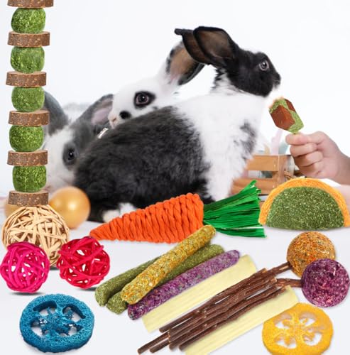 YIXUND Rabbit & Guinea Pig Toys - Natural Timothy Hay & Apple Wood Sticks for Teeth Care - Handmade for Hamster, Bunny, Chinchilla (27 Pcs) - color: 27 Pcs