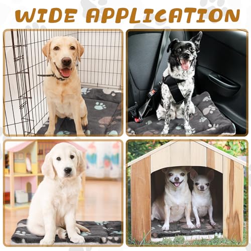 4 Pack Ultra Soft Dog Cat Bed Mat Small Animal Guinea Pig Bed with Cute Print Reversible Fleece Dog Crate Kennel Pad Cozy Washable Thickened Hamster Pet Beds Mat(23 x 18 Inches,Black) - color: Black, size: 23 x 18 Inches