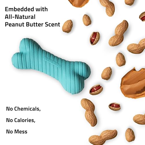 Playology Dual Layer Bone Dog Chew Toy - Medium, Peanut Butter Scent | Rubber Construction, All Natural Scent, Heavy Duty Design - size: Medium, style: Peanut Butter
