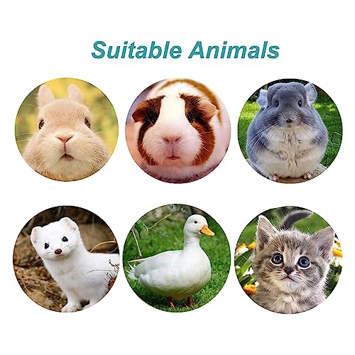 Rabbit Water Bottle 17 OZ Bunny Hanging Water Fountain Automatic Guinea Pig Water Dispenser No Leak Drinking Feeder for Bunny Chinchilla Hamsters Cat Dog Small Animals(Grey)