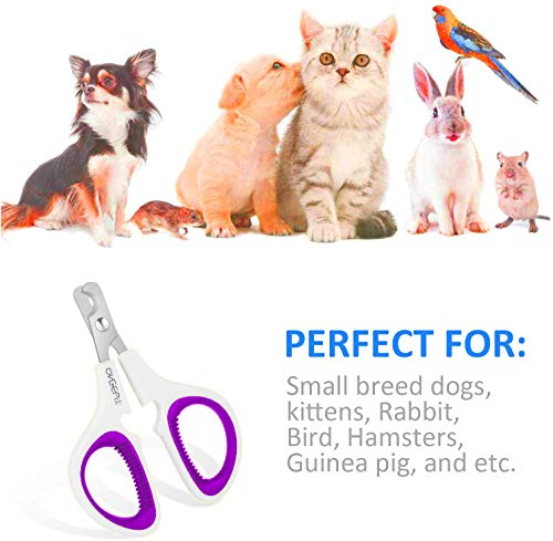 Pet Nail Clippers, Update Version Cat & Kitten Claw Nail Clippers for Trimming, Professional Pet Nail Clippers Best for a Cat, Puppy,Rabbit, Kitten & Small Dog,Sharp & Safe (Purple) - color: Purple