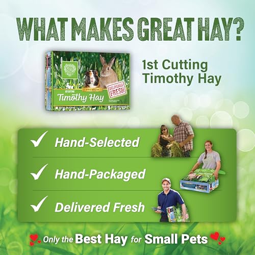 Small Pet Select 1st Cut Timothy Hay Pet Food for Rabbits, Guinea Pigs, and Other Small Animals, Easy to Store Box, 10 LB | High Fiber Natural Hay, Grown in USA, Long Coarse Strands for Dental Wear, For Chinchillas, Hamsters, Bunnies & Small Pets - size: