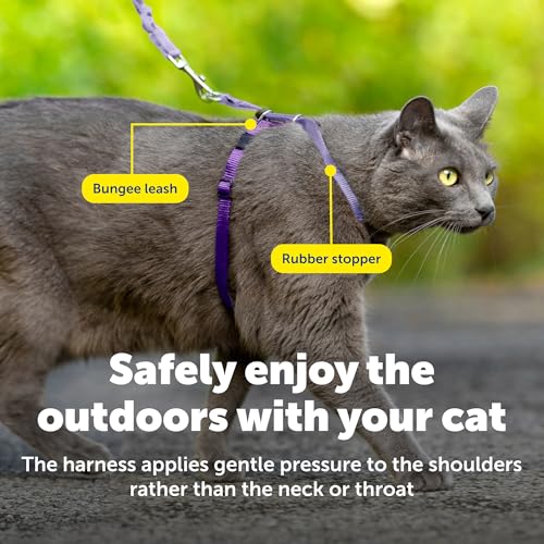 PetSafe Come With Me Kitty Harness and Bungee Cat Leash, Medium, LILAC/BRIGHT PURPLE, Model:CWMK-M-LLC | Adjustable 2-Point Fit Applies Gentle Pressure to Shoulders, Not Neck, for Small & Average Cats with 10.5 in - 14 in Girth - color: Lilac, size: Mediu