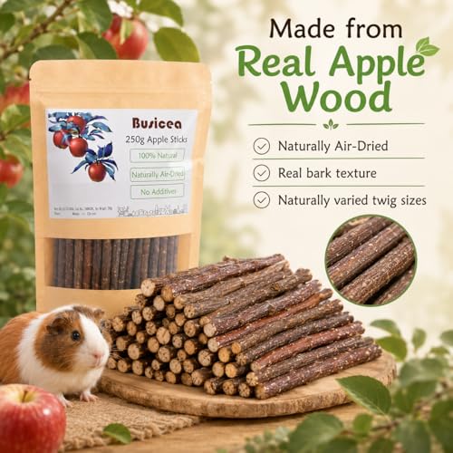 Premium Natural Apple Sticks - 100g/3.52 OZ MINI Trial Pack - Perfect for 1 Pet, Molar Chew Treats for Rabbits Chinchillas Guinea Pigs Hamsters Small Animals - size: 3.6 Ounce (Pack of 1)