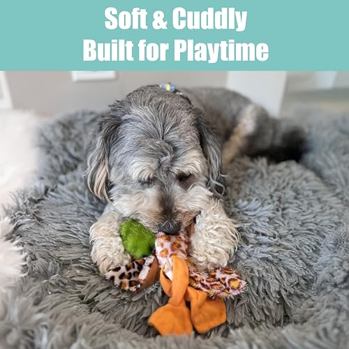 SPOT Skinneeez Mini Mallard Duck 13 Inch Stuffing-Free Plush Squeaky Dog Toy – Soft Interactive Toy for Small and Medium Dogs – Mess-Free Play for Light & Moderate Chewers – Assorted Styles - style: Mini Mallard Duck