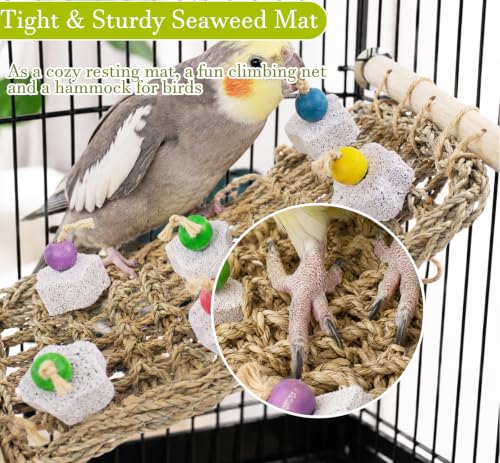 FlidRunest Conure Seagrass Mat with Grinding Calcium Stone Chewing Toy | Parrot Beak Grinding Stone and Seagrass Ladder Bridge Stands, Hand-Woven Net Climbing Net for Budgie Parakeet - size: B(With Calcium Stone)