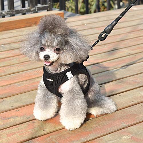 Dog Harness Step-in Breathable Puppy Cat Dog Vest Harnesses for Small Medium Dogs - color: Black, size: Medium (Chest 13.5''-16.5'', Weight 10-15 lb)