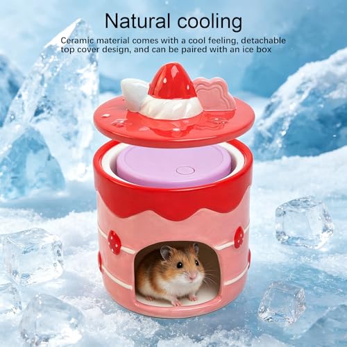 Ceramic Igloo Hamster Hideout,Hamster House with ice Box(Strawberries) | Habitats Cool Bed Ideal for All Season Cave Mini Hut Cage for Syrian & Dwarf Hamsters,Gerbils,Mice Small Pets - color: Red