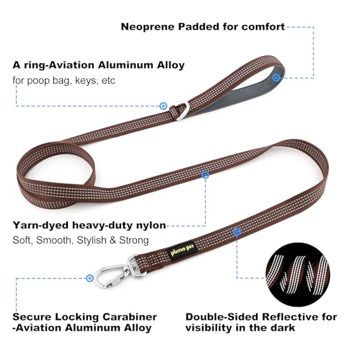 Plutus Pet Heavy Duty Dog Leash with Lockable Aluminum Carabiner, 4 FT Long | Double-Sided Reflective Nylon, Padded Handle, Heavy Duty, for Puppy Small Medium and Large Dogs (Chocolate, 1" x 4') - color: Chocolate, size: 1" x 4'