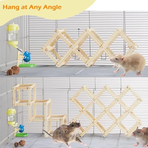 Kiln-Dried Wood Rat Climb Toy, Hanging Cage Ladder Activity (S, 2pcs) | Natural Rat Cage Bridge, Multiple Openings & Directional Ramps Offer Challenges to Satisfy Rats' Instincts for Explore & Play - style: S, 2pcs