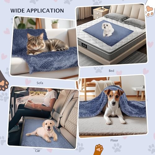BVAGSS 6 Pack Small Dog Blanket, Super Soft Warm Pet Cover Blankets, Wheat Ears Print Puppy Fleece Flannel Blanket for Small Medium Dogs and Cats MW003 - color: Blue Wheat Ears, size: 6 Pack of 36x36 Inches