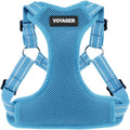 Voyager Step-in Flex Adjustable Dog Harness - Baby Blue, Small | 15 - 18" in Chest, Fully Adjustable, Reflective Bands, All Weather Breathable Air Mesh, Lightweight, Fast Drying - color: Harness (Baby Blue), size: S