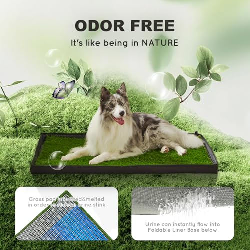 HQ4US 4LEGS Dog Grass Pad with Foldable Dog Litter Box,Small Liner Base for Balcony，Ultra-Absorbent Artificial Grass Pads for Dogs Pee Pad Holder, Potty Training, 2 PCS Reusable Pee Pads - size: Small for Dog＜ 19" Length