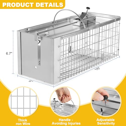 Squirrel Trap Live Animal Humane Cage Trap Catch Rats, Mice, Chipmunk, Weasel and Other Rodents for Indoor and Outdoor