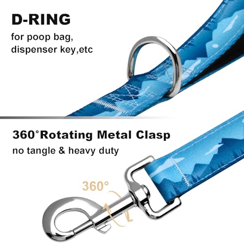 4ft Dog Leash with Two Padded Handles, Heavy Duty Strong Nylon Pet Leash with Soft Neoprene Handle for Small Medium Large Dogs, Blue Sunset - color: Blue Sunset, size: 1 in x 4 ft