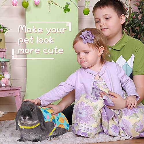Weewooday 3 Sets Rabbit Bunny Harness and Leash Gift, Cute Bunny Clothes for Rabbits Dress Costume Walking Harness Escape Proof Pet Supply for Hedgehog Ferret Squirrel(Cake, Animal, Pineapple)