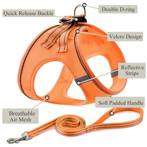 Dog Harness with Leash Set, Step-in Adjustable Puppy Pet Vest, Orange XXS | Lightweight Breathable Air Mesh, Night Safety Reflective, No Pull Puppy Vest Harnesses for Small Medium Large Dogs, Cats - color: Orange, size: XXS(Chest:10"-12")