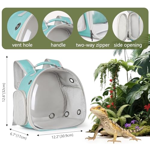 Guinea Pig Backpack Carrier, Bearded Dragon Carrier Backpack with Clear Bubble Window,Small Animal Travel Backpack for Hedgehog Rat，Chameleon,Rabbit,Sugar Glider,Airline Approved (Green, Backpack)
