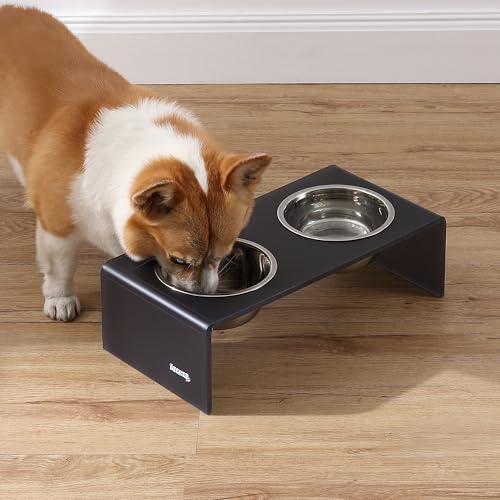 DBL2000J Keaton 5" Small/Medium Modern Acrylic Rectangular Elevated Pet Feeder with 20oz 2-Stainless Steel Bowls, Dark Gray/Chrome - color: Dark Gray/Chrome, size: 20 Ounces (5" Cups 2-Pack)