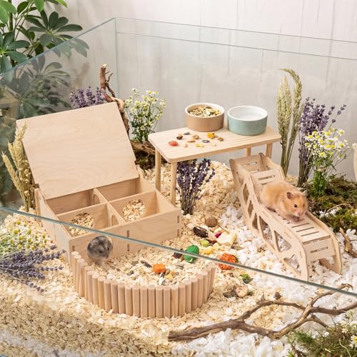 BreezeHug 4 Pcs Hamster Cage Accessories Hamster Platform Hideout Wooden Tunnel Ladder Playhouse Game Climbing Toy with Platform for Pets Dwarf Syrian Mice Degus Gerbils Squirrel(Enclosure) - style: Enclosure