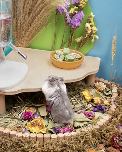 Niteangel Hamster Snack Treat Toy: Freeze-Dried Okra & No Additive | Delivers Essential Vitamins & Minerals- Small Animal Natural Treat for Dwarf Syrian Hamsters Gerbils Mice Degus or Small Pets