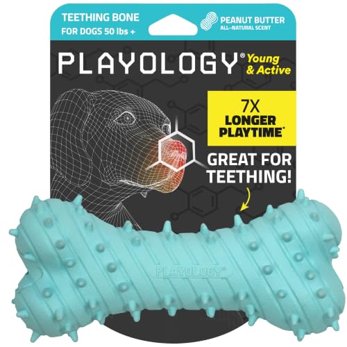 Playology Puppy Teething Bone Dog Chew Toy - Jumbo, Peanut Butter Scent | Great For Puppies and Young Dogs, Teeting Nubs Soothe Gums, Durable Rubber, Large Breed - size: Jumbo, style: Peanut Butter
