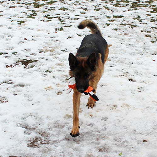 Jalousie Multipack Dog Squeaky Toys Strong Almost Indestructible, with Added Liner for Longer Play Dog Chew Toys (5 Pack Tough) - color: 5 Pack Tough