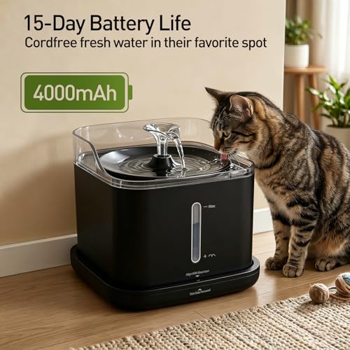 Cat Water Fountain, 2.2L Automatic Pet Water Fountain for Cats and Small Dogs, 2.4GHz WiFi App Control, Rechargeable Motion Sensor, 3 Water Modes, Detachable Tank, Black - color: BLACK