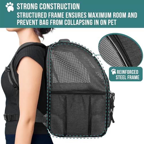 PetAmi Dog Backpack Carrier Airline Approved Cat Pet Puppy Bag, Charcoal | Ideal for Small Medium Large Pet up to 18 lb, 2 Side Entry Structured No-Collapse Frame, Ventilated Bookbag for Hiking Travel - color: Charcoal