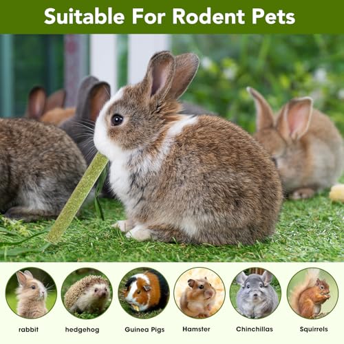 WDEFUN 45 PCS Timothy Hay Sticks for Rabbits Natural Molar Teeth Stick Chew Toys for Bunnies Chinchillas Guinea Pigs Hamsters and Other Small Animals Treats - size: 0.27 Ounce (Pack of 45)