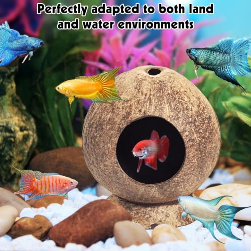 PINVNBY 2 Pcs Natural Coconut Shell Reptile Hideouts Crested Gecko Tank Accessories for Small Lizard Leopard Gecko Spider Snail Hermit Crab Hideout - size: High-Crowned Style, 2PCS